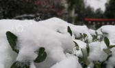 雨雪致安徽多条高速受阻 未来一周气温低迷仍多降水