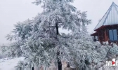 【重庆】昨天重庆城口降下今年秋冬第一场雪