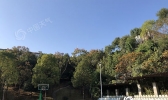 【湖南】湖南晴空不改阳光“助力” 明晨湘西局地有雾