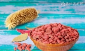 秋季养肝排毒喝什么茶