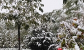 宁夏发布暴雪蓝色预警 明后天清晨全区气温降至零下