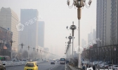 河北明日升温至15℃ 中南部有重度霾