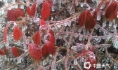 【辽宁】铁岭|北国风光，冰雪相映