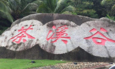 保亭茶溪谷游玩攻略