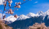 林芝桃花沟在哪 林芝桃花沟简介
