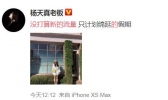 杨天真表示没打算新的流量 杨天真发声否认要签杨紫和郑爽
