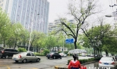 河北发布暴雨蓝色预警气温骤降 夜间沿海地区阵风达9级