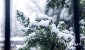 南京迎2019第一场雪