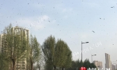 辽宁今天暂回暖 明起气温再降阜新辽阳最高温暴跌8℃