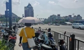 高温来袭!今明浙江气温飙至38℃，防暑降温迫在眉睫