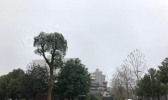 未来一周湖南阴雨持续雨量偏多 雨雾天气不利返程