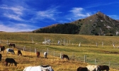 川西冬季旅游景点介绍 冬天去川西应该准备什么