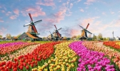 荷兰最值得去的地方有哪些 排名前八的必去景点