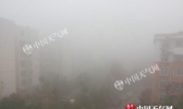湖北遭遇强浓雾多条高速封闭 明后天空气质量逐步转好