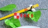 香椿煎蛋的做法