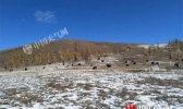 内蒙古局地连续无降水日数破纪录 今明天东南部迎降雪