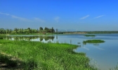 野鸭湖湿地公园好玩吗 北京野鸭湖湿地公园游玩攻略
