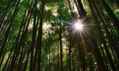 2019陕西教师节免票景点
