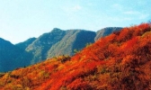 嵩山最佳游玩时间 嵩山节日表演有哪些