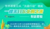 世界粮食日从“光盘行动”做起 一棵来自东北的玉米有话要说