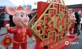 红灯高挂人流如织 沈阳皇城庙会春节氛围浓