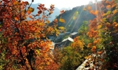 北京坡峰岭红叶节最佳观赏地推荐