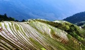 龙脊梯田什么时候去最好 龙脊梯田冬天去好看吗