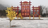 大年初二初雪造访北京 带你近距离来“赏”雪