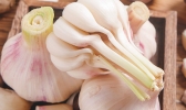 山西朔州的特产有什么 山西朔州特产都有哪些