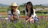 深圳4月份有哪些花?