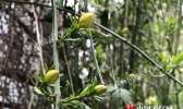 全国大回暖周末大面积破20℃ 华北或入春