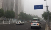 青岛午后发布大雾黄色预警 本周后期多雷雨或阵雨天气