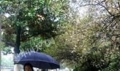 安徽阜阳亳州等多地今有雨夹雪 阵风7级气温低