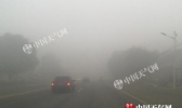 今晨辽宁出现大雾天气 导致多条高速公路封闭