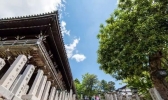 第一次去日本应该去哪些景点