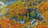 北京坡峰岭红叶好看吗 北京坡峰岭红叶观赏地点推荐