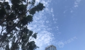 今年前8月好天气助力重庆收获221个蓝天