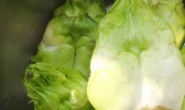 青菜头和儿菜的区别