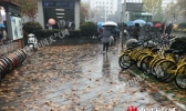 江苏雨雪渐止迎降温 周日全省最低温将今冬首次跌破0℃
