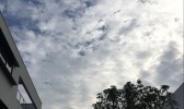 广州周末阴冷持续 下周气温回升仿若换季