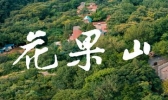 连云港花果山旅游攻略最新(附门票+交通路线+注意事项)