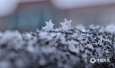 正月十五雪打灯 片片雪花晶莹剔透