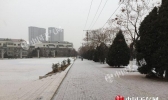 未来三天辽宁再迎回暖 周五沈阳最低温升幅达10℃