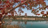 2019郑州中秋有什么活动（景区活动+展览+音乐会）