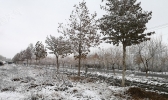【新疆】泽普县迎来今冬首场降雪