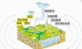 厦门首试“设计暴雨”方法 城市变身强力海绵
