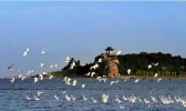 2019年11月1日至2020年3月31日河北旅游景点免费开放的有哪些