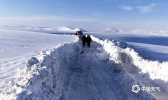 青海玉树遭遇雪灾 抗灾措施有序开展