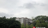 广东下周伊始将现降雨降温 广州等地有大到暴雨