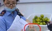 CoCo查出腐烂水果是怎么回事 CoCo腐烂水果事件间始末